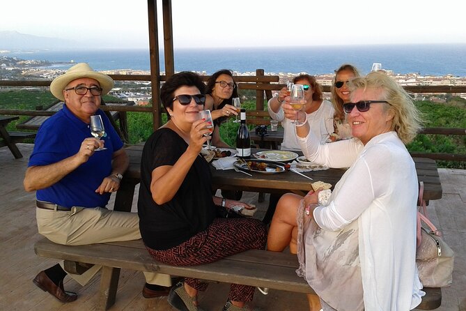 Manilva Oceanfront Wine Experience in the Marbella Area - Nilva winery tour: from explanation to the real thing