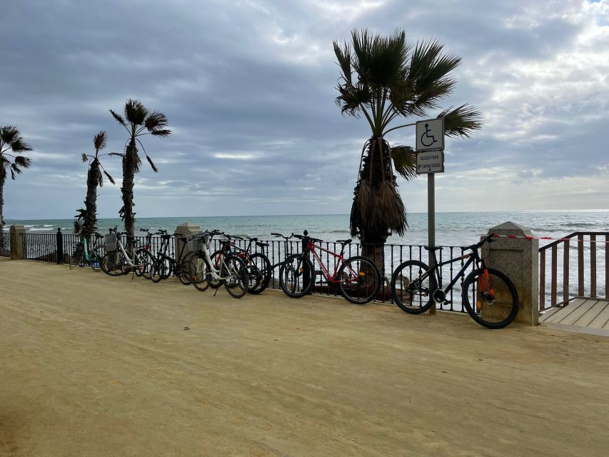 Marbella: 3-Hour Guided Bicycle Tour - Parks and the promenade: where the ride becomes the attraction