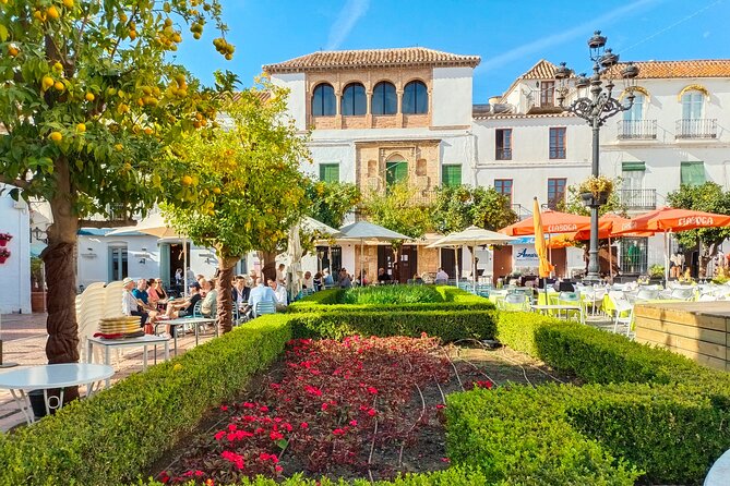 Marbella: group walking Tour - Parque de la Alameda Start at the Rocío Fountain