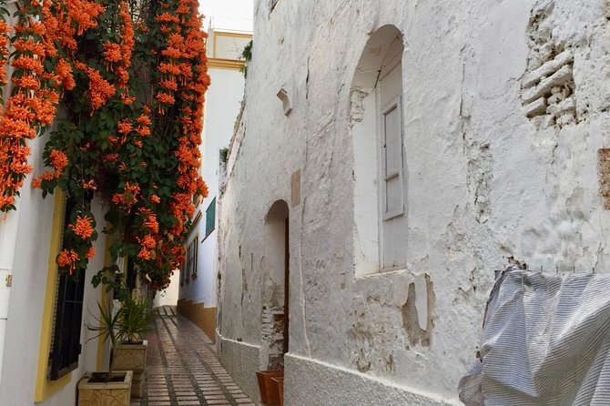 Marbella Old Town: Group Tour with a True Local - Capilla San Juan de Dios and Plaza Altamirano: Small Stops With Big Meaning