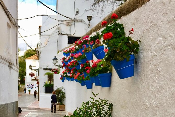 Marbella Old Town: Group Tour with a True Local - Olive Oil Tasting: How to Make It Worth Your Time