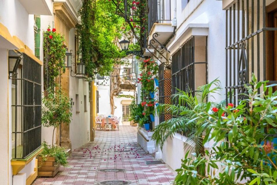 Marbella: Private custom tour with a local guide - Key things to know