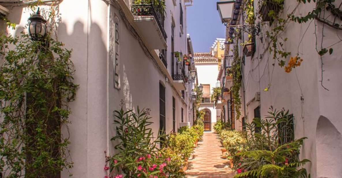 Marbella: Private Customizable Walking Tour with Guide - Old Town Streets, a Park Pause, and Promenade Time