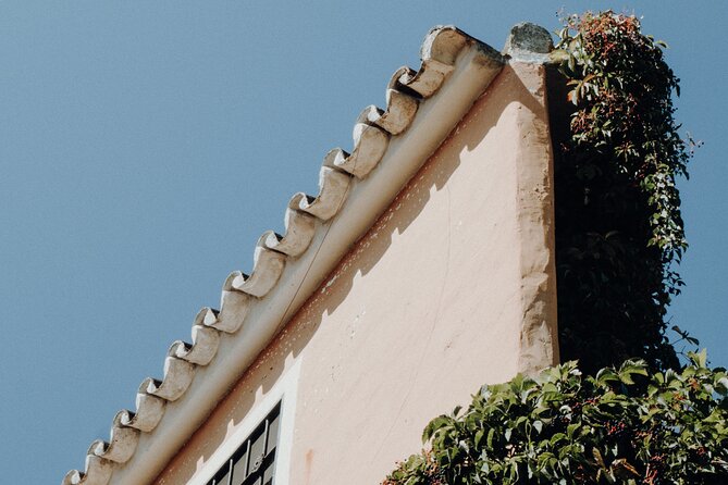 Marbella Private Walking Tour with a Local - Beaches, Art, and the City’s Everyday Rhythm