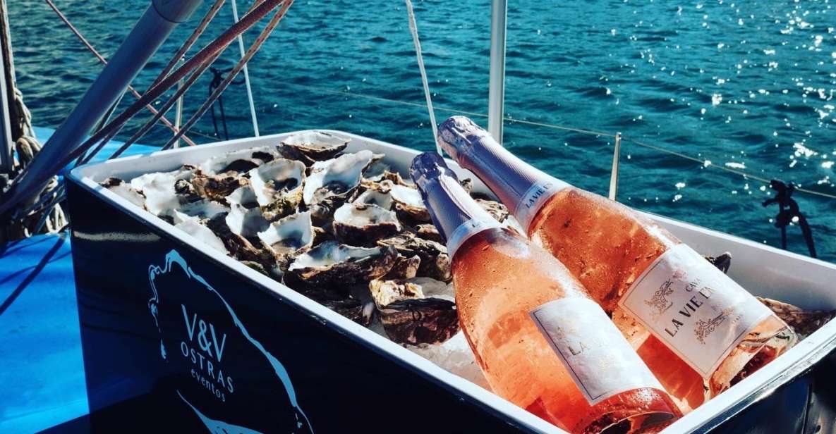 Marbella: Puerto Banús Private Sailing Cruise with Drinks - Key highlights to know before you go