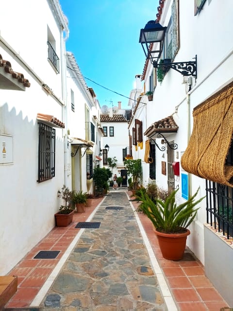 Marbella: Sightseeing Walking Tour - Moorish castle remnants: seeing the past without a textbook