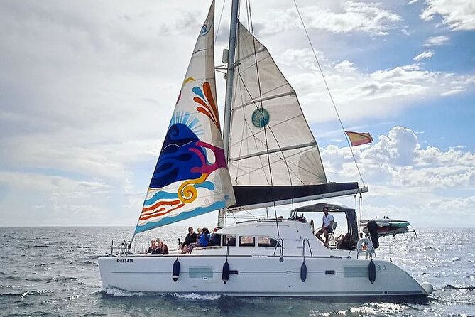 Marbella Small Group Catamaran with Dolphin Watching - Sunset timing and dolphin chances: what to expect in real life