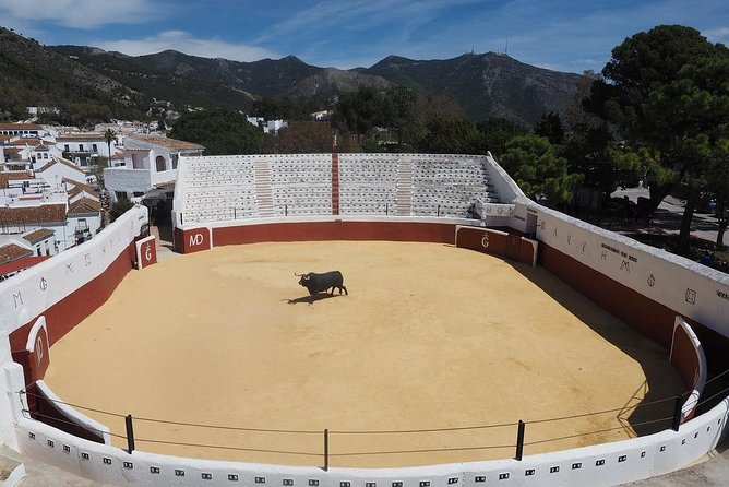 Mijas Village Private Tour from Malaga and Surrounding Areas - The Donkey-Taxi Reality Check (and Other Village Character)
