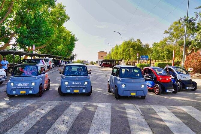 Montes de Málaga Gastronomic Tour by Electric Car - What the guides do that makes this tour feel worth it