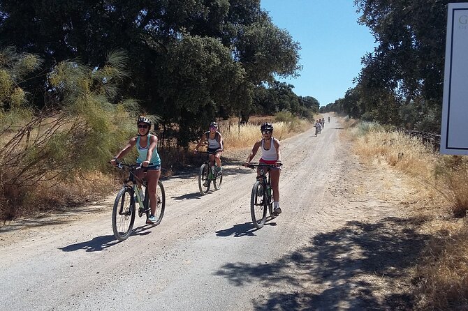 MTB (Self-Guided) Setenil de las Bodegas - 30km Easy - Ronda to Setenil de las Bodegas: a ride built for “I can do this”