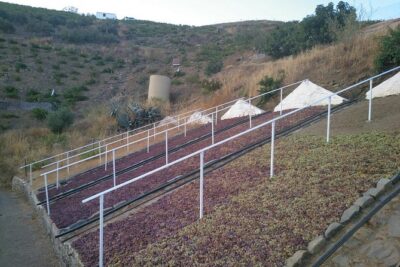 Muscat Raisin Route - Small group with lunch included - Getting to the start: Malaga area pickup that actually works