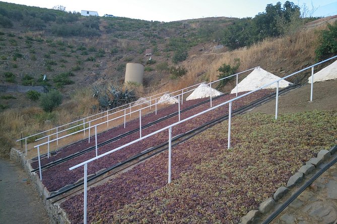 Muscat Raisin Route - Small group with lunch included - Getting to the start: Malaga area pickup that actually works