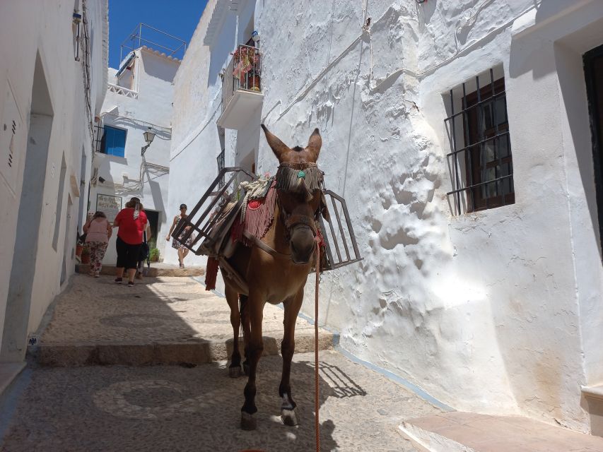 Nerja, Frigiliana & El Acebuchal: Full-Day Semi-Private Tour - FAQ
