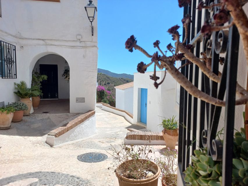 Nerja, Frigiliana & El Acebuchal: Full-Day Semi-Private Tour - Who should book this Nerja–Frigiliana–El Acebuchal day?