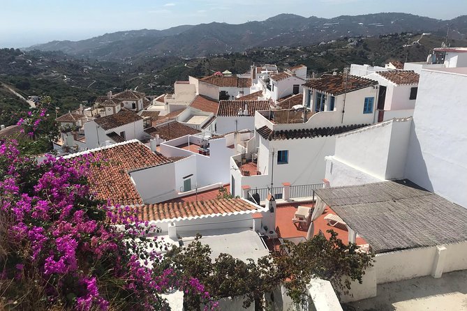 Nerja & Frigiliana Private Day Trip from Malaga or Marbella - Price and Logistics: Is $368.46 Per Person Worth It?