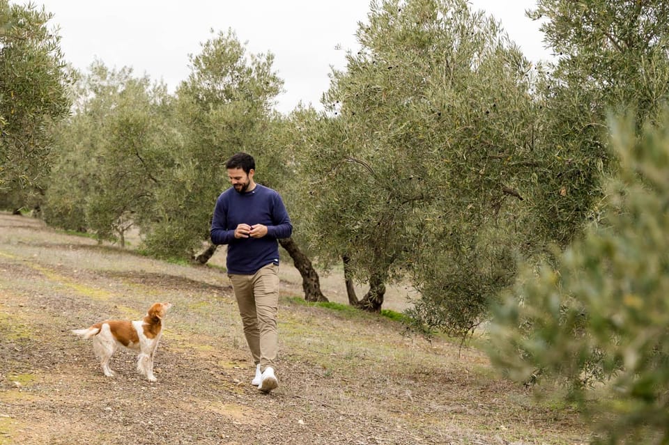 OLIVE OIL & WINE TOUR Organic fields - 5 Wines + 3Olive Oils - Key points to know before you go