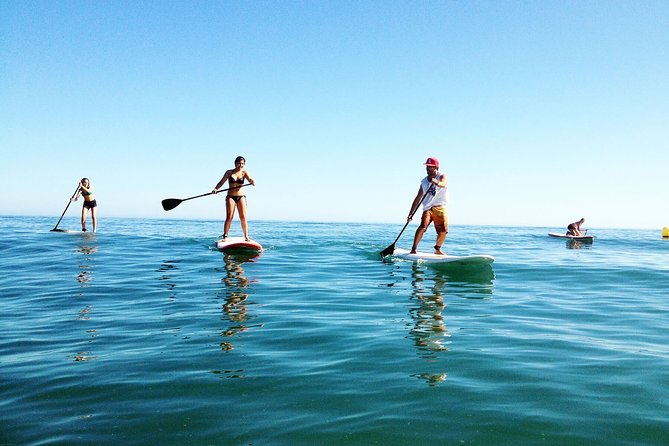 Paddle Boarding Tour on the beautiful Marbella Coast - Meeting at the Marina: Where Your SUP Tour Starts