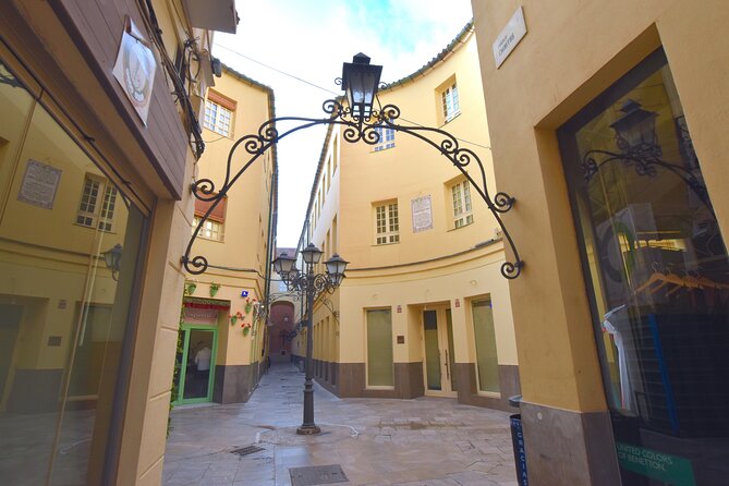 Picasso roots Private Walking Tour in Central Malaga - How the Picasso museum story connects to the city