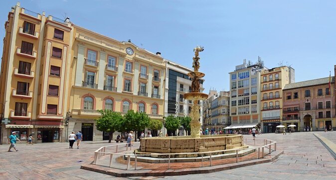PREMIUM TAPAS TOUR: Paella, Tapas, Winery and Flamenco - A 4-hour Malaga night built for tapas and real flamenco