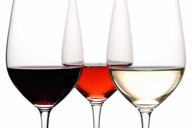 PREMIUM TAPAS TOUR: Tapas, Paella and Winery - Pasaje de Chinitas: historic tapas and flamenco culture in one room