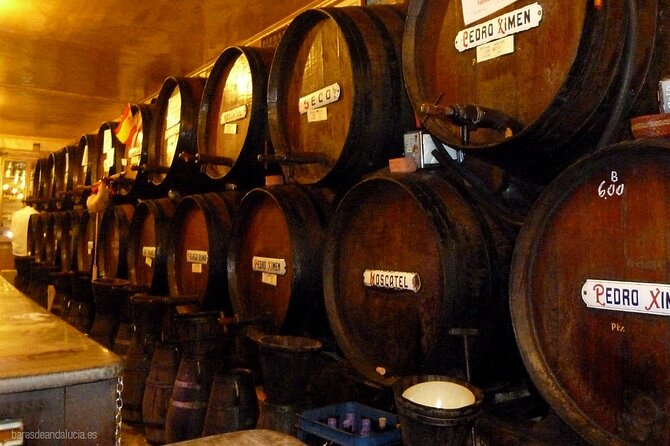PREMIUM TAPAS TOUR: Tapas, Paella and Winery - Antigua Casa de Guardia: welcome wine in a winery built to last