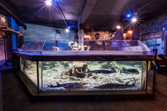 Premium Ticket Sea Life Benalmádena - Key things to know before you go