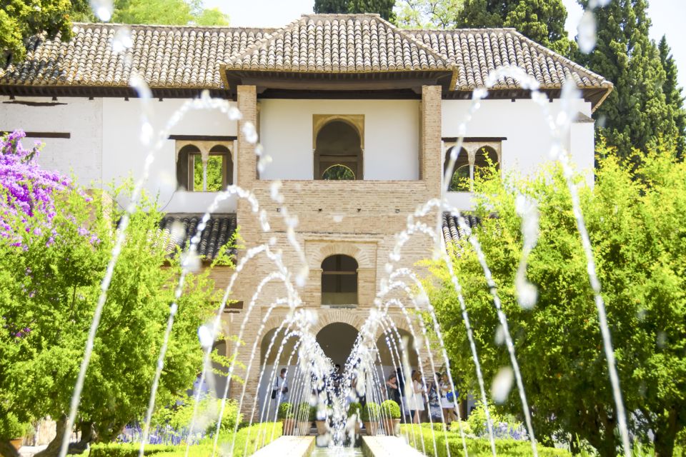 Private Alhambra Tour From Malaga & Surrounds - Skip-the-Line Entry That Actually Changes Your Day