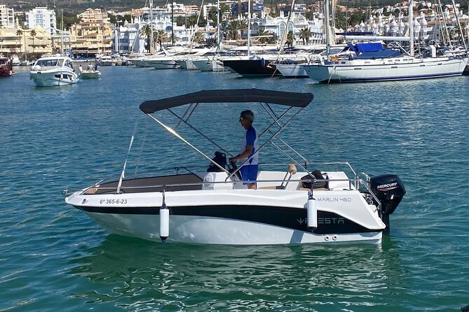 Private boat rental without title dolphin watching - Key Points at a Glance