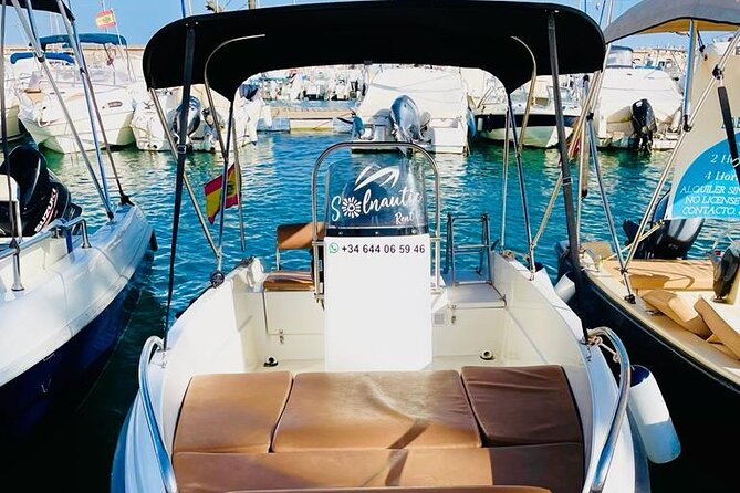 Private boat rental without title dolphin watching - Dolphin Watching on the Costa del Sol: What to Expect and How to Improve Odds