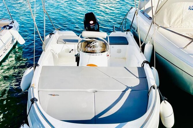 Private boat rental without title dolphin watching - Best Beaches and Swim Stops: How to Choose Your Own Route