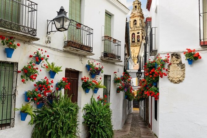 Private Cordoba & Seville Tour with a Finale Horse Carriage Ride - Real Alcázar in Seville: entry time that’s not wasted