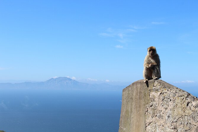 Private Day Tour in Gibraltar and Tangier, Morocco from Malaga - Tangier: Kasbah streets, souk time, and Cape Spartel’s coastal payoff