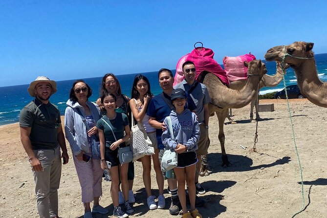 Private Day Tour in Gibraltar and Tangier, Morocco from Malaga - Costa del Sol and Costa de la Luz: why the return drive isn’t filler