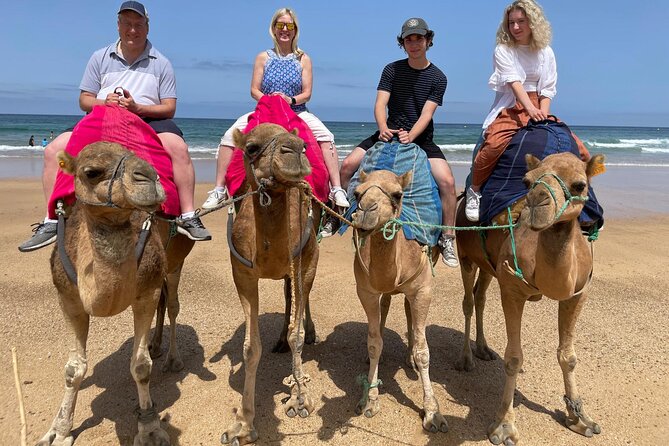 Private Day Tour in Gibraltar and Tangier, Morocco from Malaga - Malaga pickup at 6:30 and how the schedule breathes
