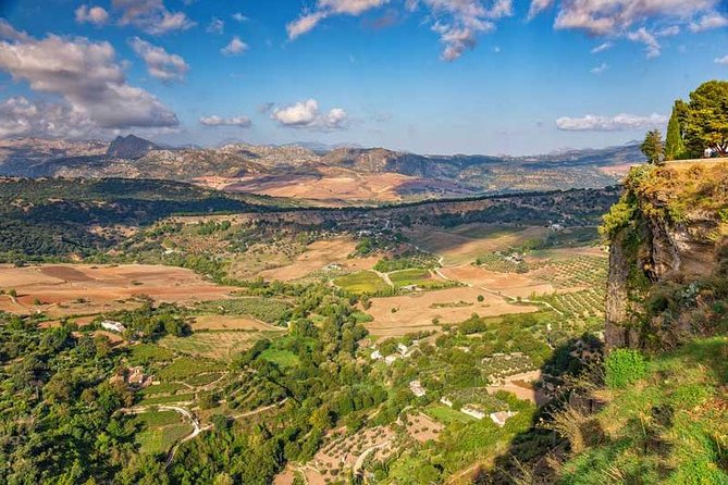 Private Day Trip to Ronda from Marbella - Plaza de Toros de Ronda: bullring entry and the views around it