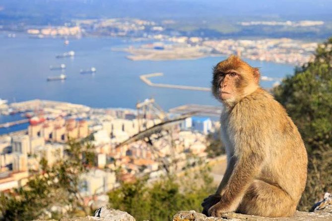Private exclusive tours from Malaga and Marbella to Gibraltar - How the Gibraltar day trip runs from Malaga (and why it’s easier than DIY)