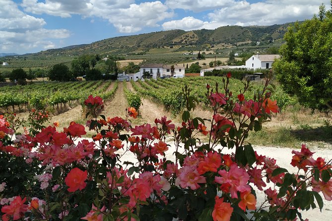 Private Excursion to Ronda from Costa del Sol 7 Hours - Ronda’s old-town logic: gardens, plazas, and the people who shaped it