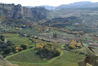 Private Excursion to Ronda from Costa del Sol 7 Hours - Plaza de Toros de Ronda: Spain’s oldest bullring, explained step-by-step