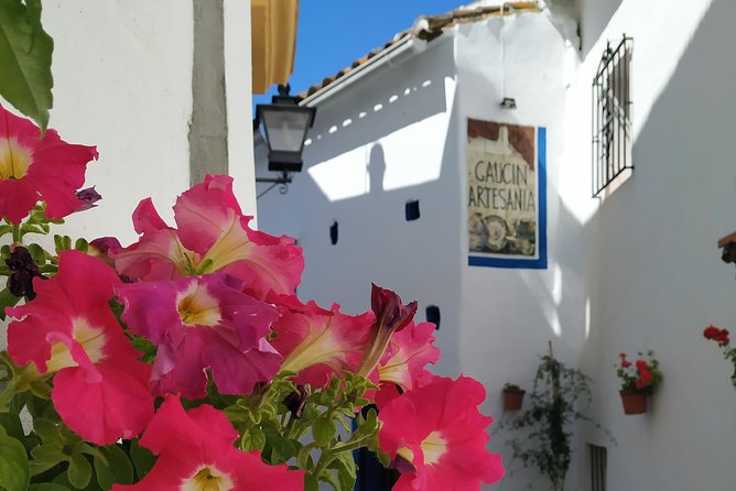Private Excursion to Ronda from Costa del Sol 7 Hours - Casa Museo Don Bosco and the New Bridge: design you can still feel