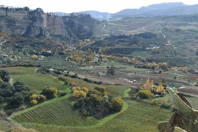 Private Excursion to Ronda from Costa del Sol 7 Hours - Plaza de Toros de Ronda: Spain’s oldest bullring, explained step-by-step