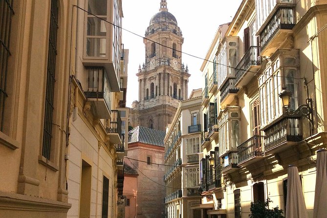 Private full day tour in Malaga from Costa del sol - La Calle Larios and Plaza de la Constitución: Streets That Show City Identity