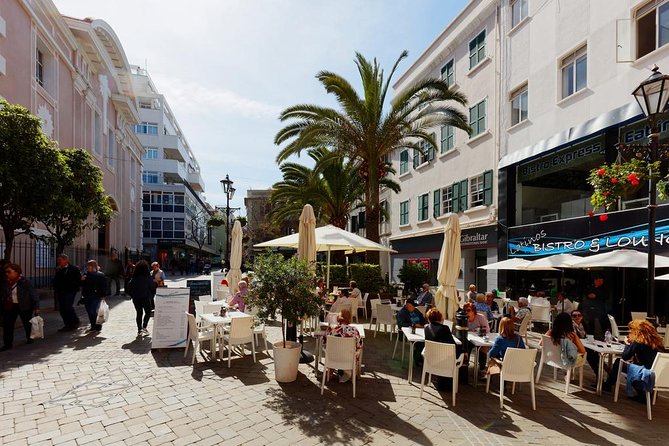 Private Full Day Tour of Gibraltar from Malaga or Marbella - Upper Rock with 1.5 hours at Top of the Rock