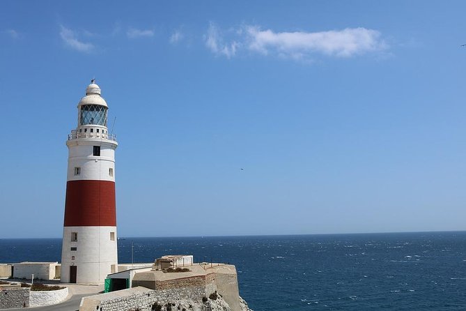 Private Full Day Tour of Gibraltar from Malaga or Marbella - Price and logistics: is $913.35 per person good value?