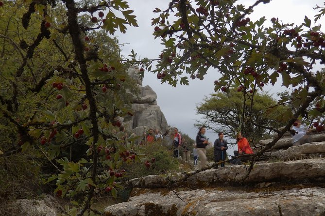 Private Guided Tour to Torcal de Antequera - Photo Viewpoints Without the Line-Up Feeling