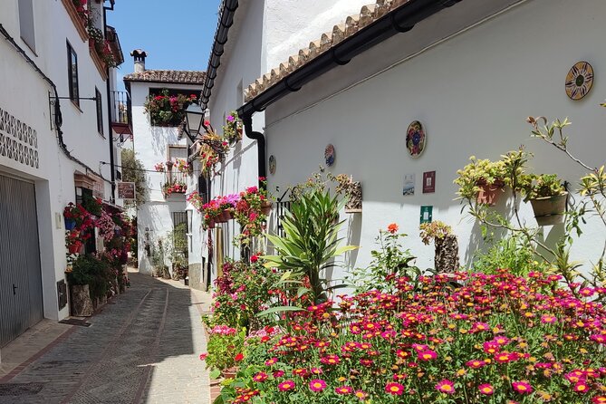 Private half-day tour of Ronda and the White Villages with native - A private Ronda + White Villages day that actually makes sense