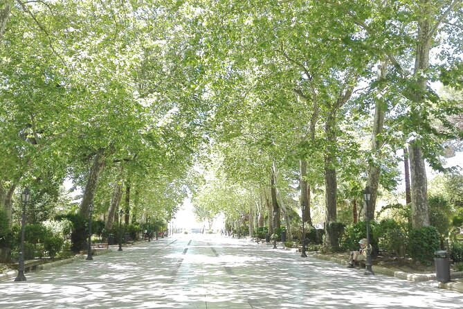 Private half-day tour of Ronda and the White Villages with native - Benalauria: a White Village stop that rewards slow time