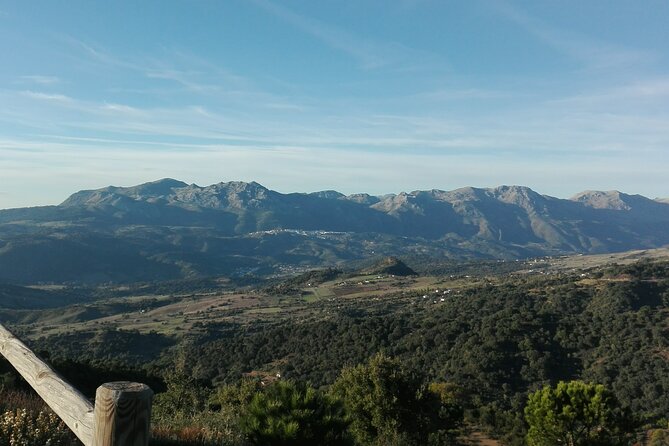 Private half-day tour of Ronda and the White Villages with native - Ronda’s best corners in about 2.5 hours