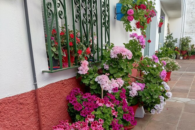 Private half-day tour of Ronda and the White Villages with native - The group size and guide vibe: why private helps here