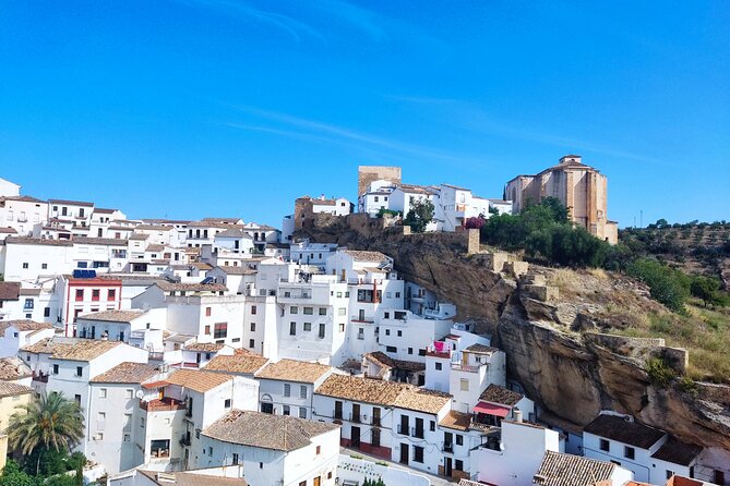 Private half-day tour of Ronda and the White Villages with native - Price and value: what $768.90 really buys you