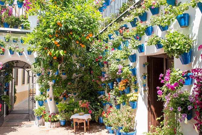 Private Multiday: Cordoba,Granada, Alhambra & Seville from Malaga - Price and Value: Is $1,420 Per Person Worth It?